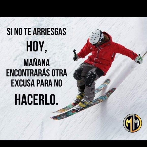 Meet your Posher, Oscar - Picture 1 of 1